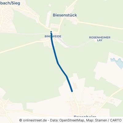 Rosenheimer Straße 57520 Steinebach (Sieg) 