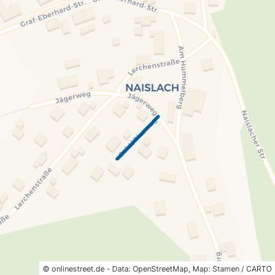 Schlößlesweg Oberreichenbach Naislach 