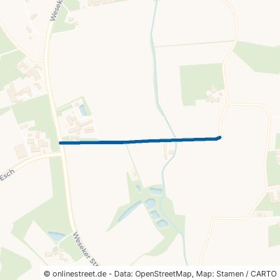Ossingweg Borken Borkenwirthe/Burlo 
