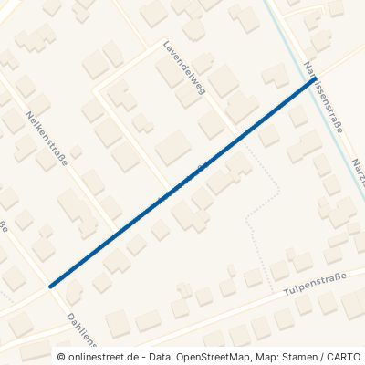 Asternstraße Emsbüren Leschede 