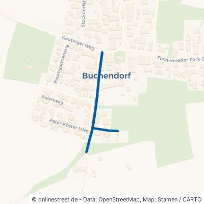 Leutstettener Weg Gauting Buchendorf 