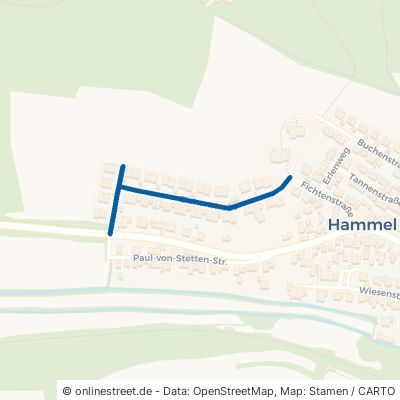 Eichenstraße Neusäß Hammel 