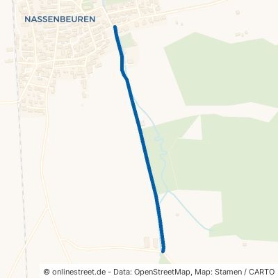Triebweg Mindelheim Nassenbeuren 