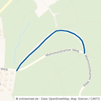 Waldparkplatz Opel-Zoo Königstein im Taunus Mammolshain 