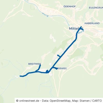 Ellbachstraße Baiersbronn Mitteltal 
