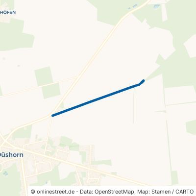 Königsholzweg Walsrode Düshorn 