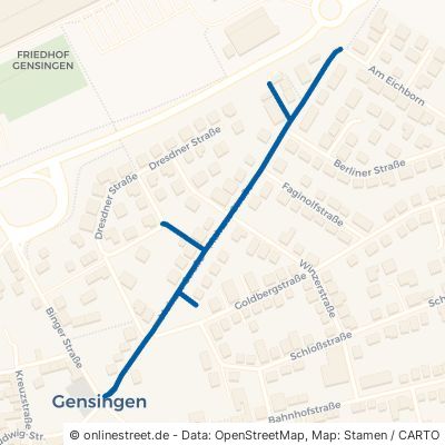 Mainzer Straße Gensingen 