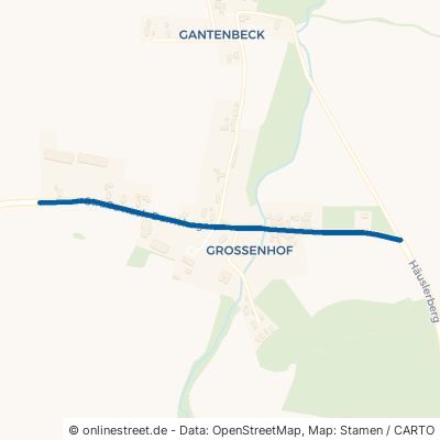 Straße Nach Damshagen Warnow Großenhof 