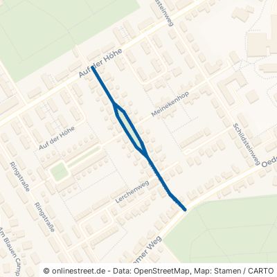 Ernst-Braune-Straße 21339 Lüneburg Mittelfeld Oedeme