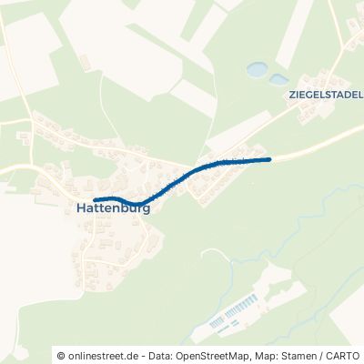 Waldblick Ochsenhausen Hattenburg 
