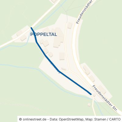 Mühleweg Enzklösterle Poppeltal 