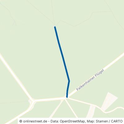 Langer Grundweg Altenberg 