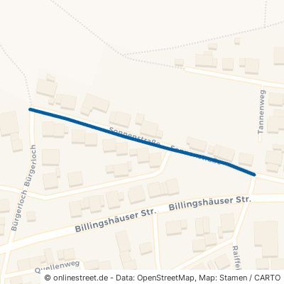 Sonnenstraße 97834 Birkenfeld 