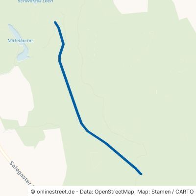 Conradiweg Raguhn-Jeßnitz Jeßnitz 