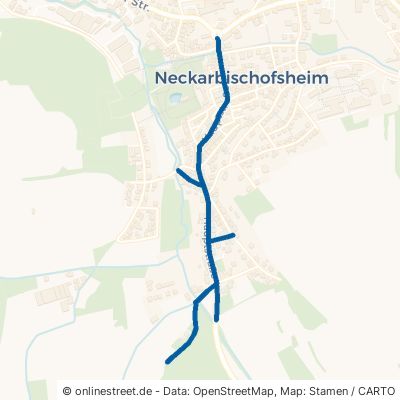 Hauptstraße Neckarbischofsheim 