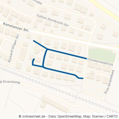 Elisabeth-Mühlenweg-Straße 78476 Allensbach 