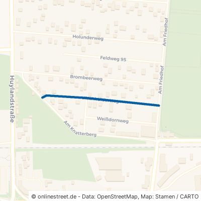 Wachholderweg Halberstadt 