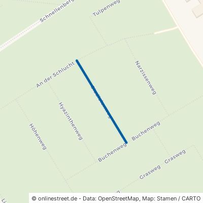 Gladiolenweg 21339 Lüneburg Mittelfeld 