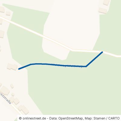 Waldweg Hohenwarth 