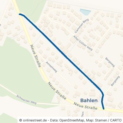 Alte Straße 19258 Boizenburg Bahlen 