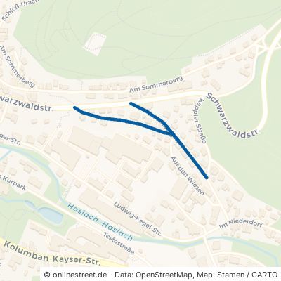 Fürstenbergstraße Lenzkirch 