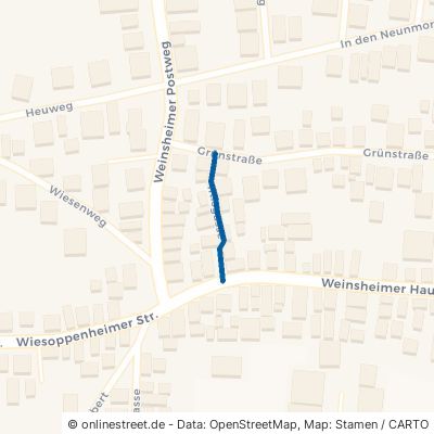 Iltisgasse 67551 Worms Weinsheim 