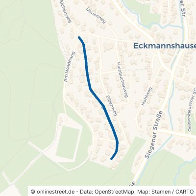 Birkenweg Netphen Eckmannshausen 