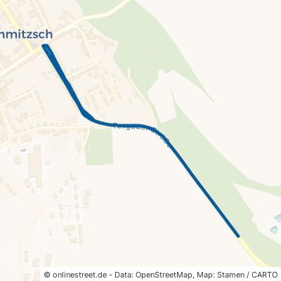 Torgauer Straße Dommitzsch Roitzsch Roitzsch