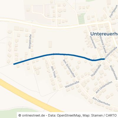 Triebweg Grettstadt Untereuerheim 