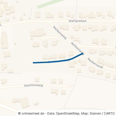 Narzissenweg Weikersheim Elpersheim 