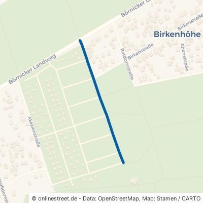 Platanenweg Bernau bei Berlin Birkenhöhe 