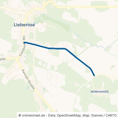 Münchhofer Straße 15868 Lieberose Stadt Lieberose 