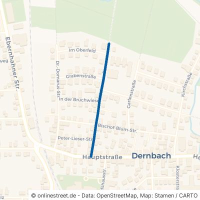 Hilchenstraße Dernbach 