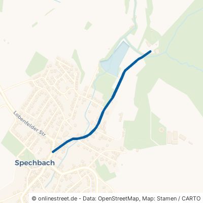Hirtenstraße Spechbach 