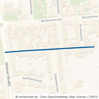 Heidenhainstraße 67547 Worms Innenstadt 