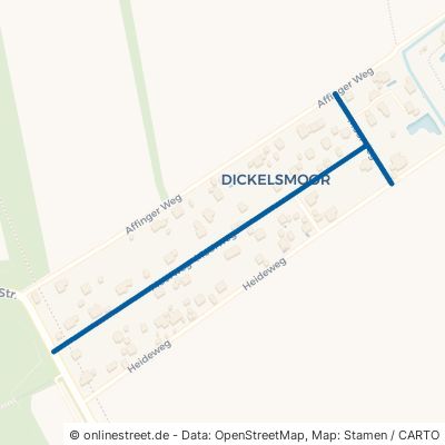 Moorweg Friedberg Dickelsmoor 