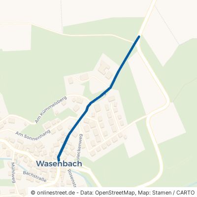 Hohlweg Wasenbach 