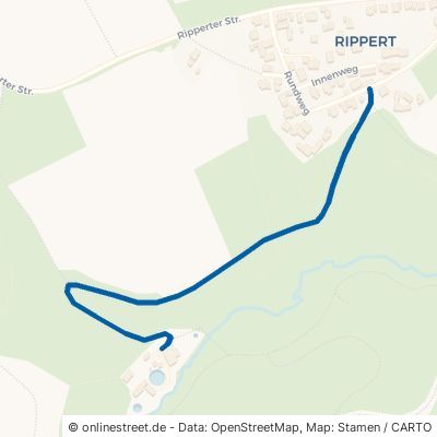 Knochenmühlenweg Neunkirchen-Seelscheid Rippert 