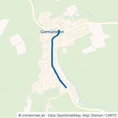 Usinger Straße 61276 Weilrod Gemünden 