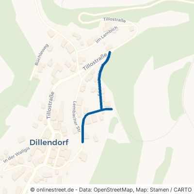 Schrandenweg 79848 Bonndorf im Schwarzwald Dillendorf 