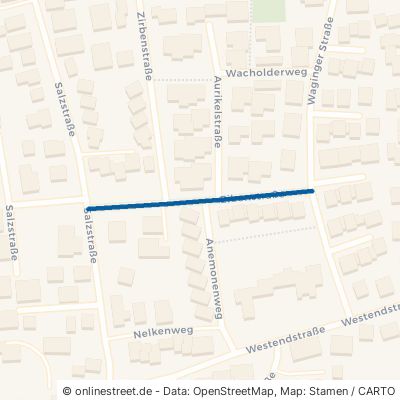 Eibenstraße 83395 Freilassing 
