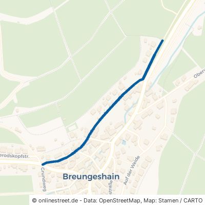 Taufsteinstraße Schotten Breungeshain 