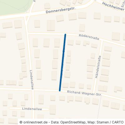 Hans-Kummer-Straße Worms Innenstadt 