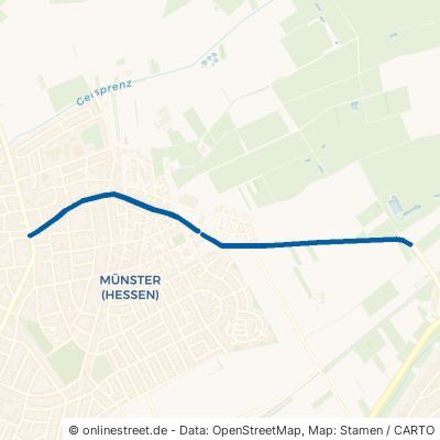 Altheimer Straße Münster Münster 