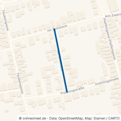 Gartenstraße 67454 Haßloch 