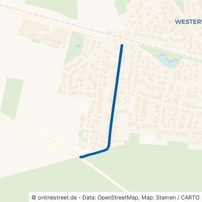 Hugo-Steinfeld-Straße 29525 Uelzen Westerweyhe 