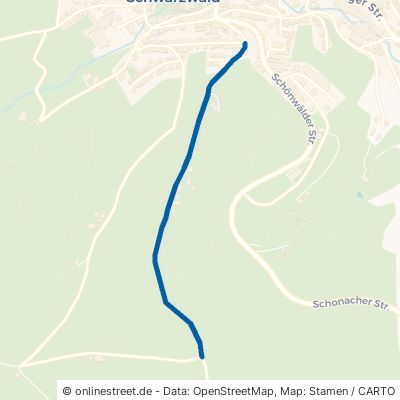 Grund 78136 Schonach im Schwarzwald 