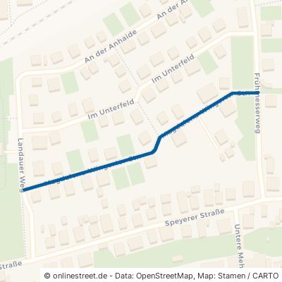Magdalena-Wingerter-Straße Wörth am Rhein Schaidt 