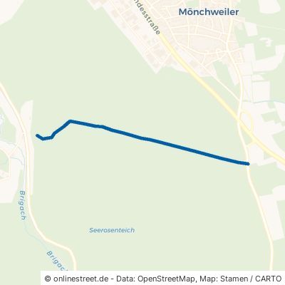 Kohlplatzweg 78052 Villingen-Schwenningen Villingen 