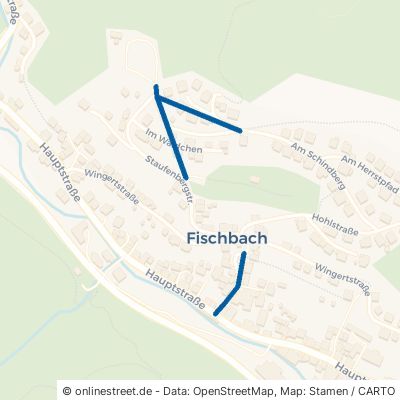 Staufenbergstraße Fischbach 